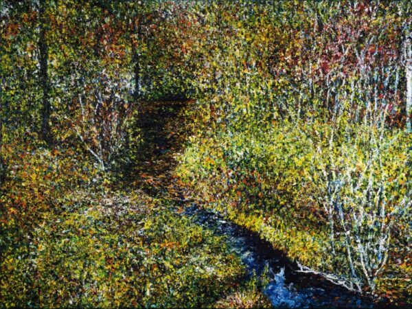 Raymond Stream Early Fall