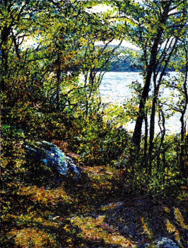 Dublin Lake Mid Summer