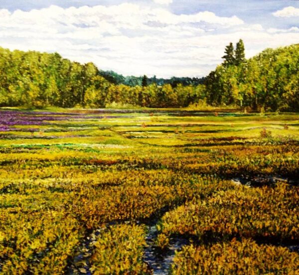 Dublin Marsh Off Rt 101 Early Fall