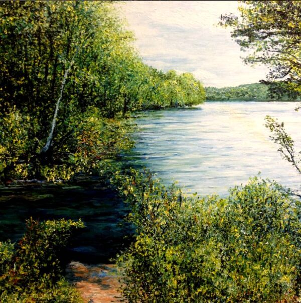 Dublin Lake From the Backroad