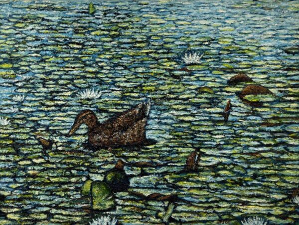 Ducks at the Seacoast