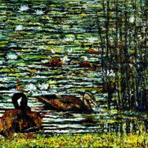 Ducks in Rye Pond