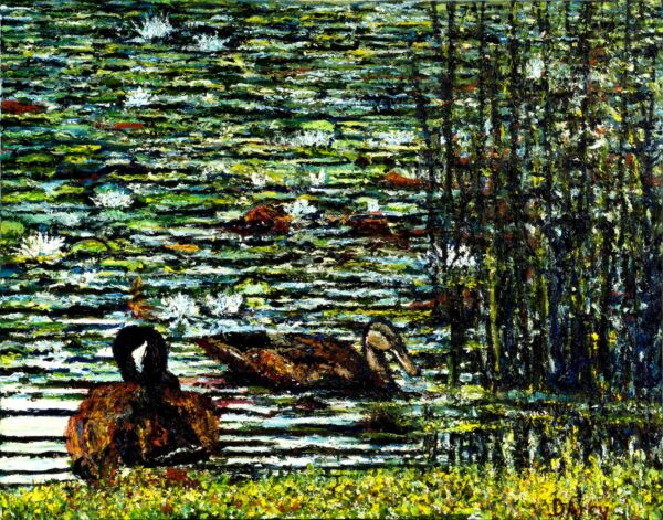 Ducks in Rye Pond